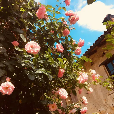 La Molina * Spigno Monferrato