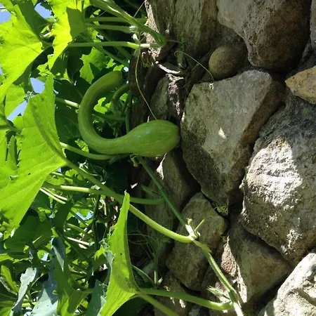 Vakantieboerderij La Molina