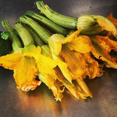 Vakantieboerderij La Molina *