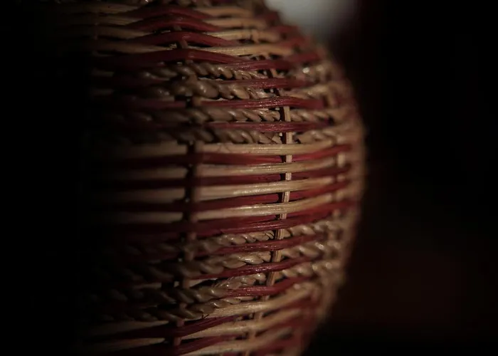 Фермерский дом La Molina Spigno Monferrato